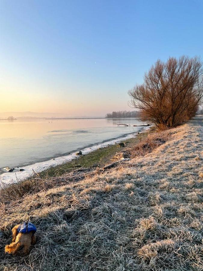 Apartman Lodenica Piest'any Exteriér fotografie